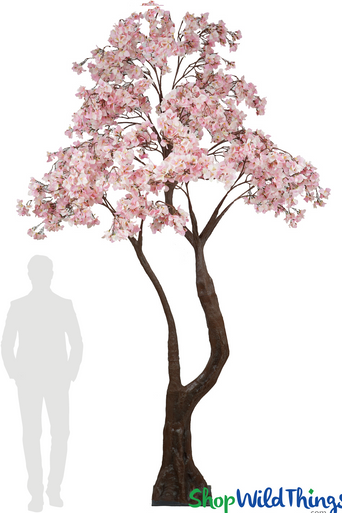 167168_main_with_silhouette__8
