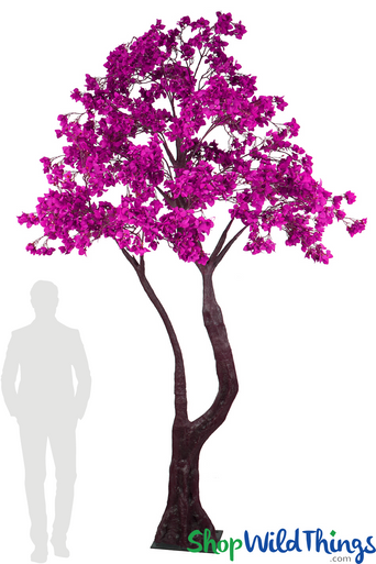 167172_main_with_silhouette__4
