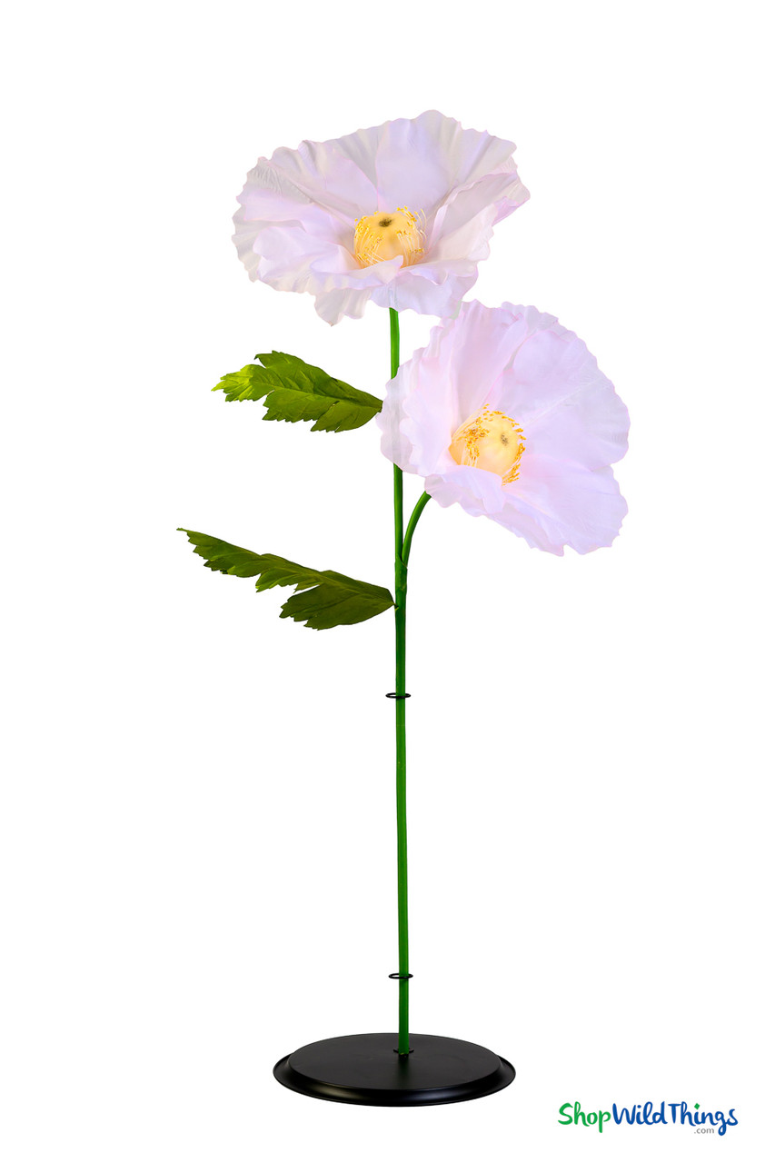 Image of Sheer Pastel Poppies 
