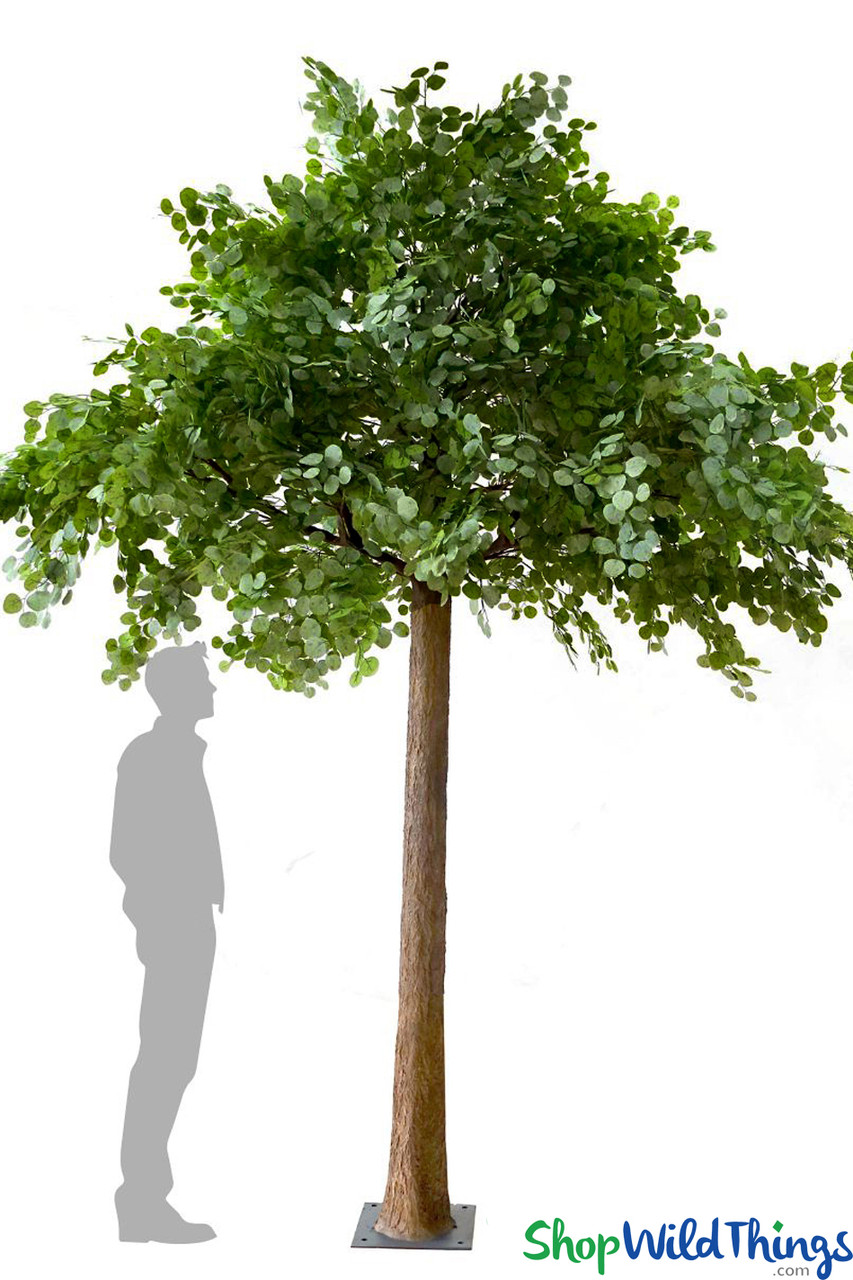 Image of Artificial 12' Tall Eucalyptus Tree "Lydia"