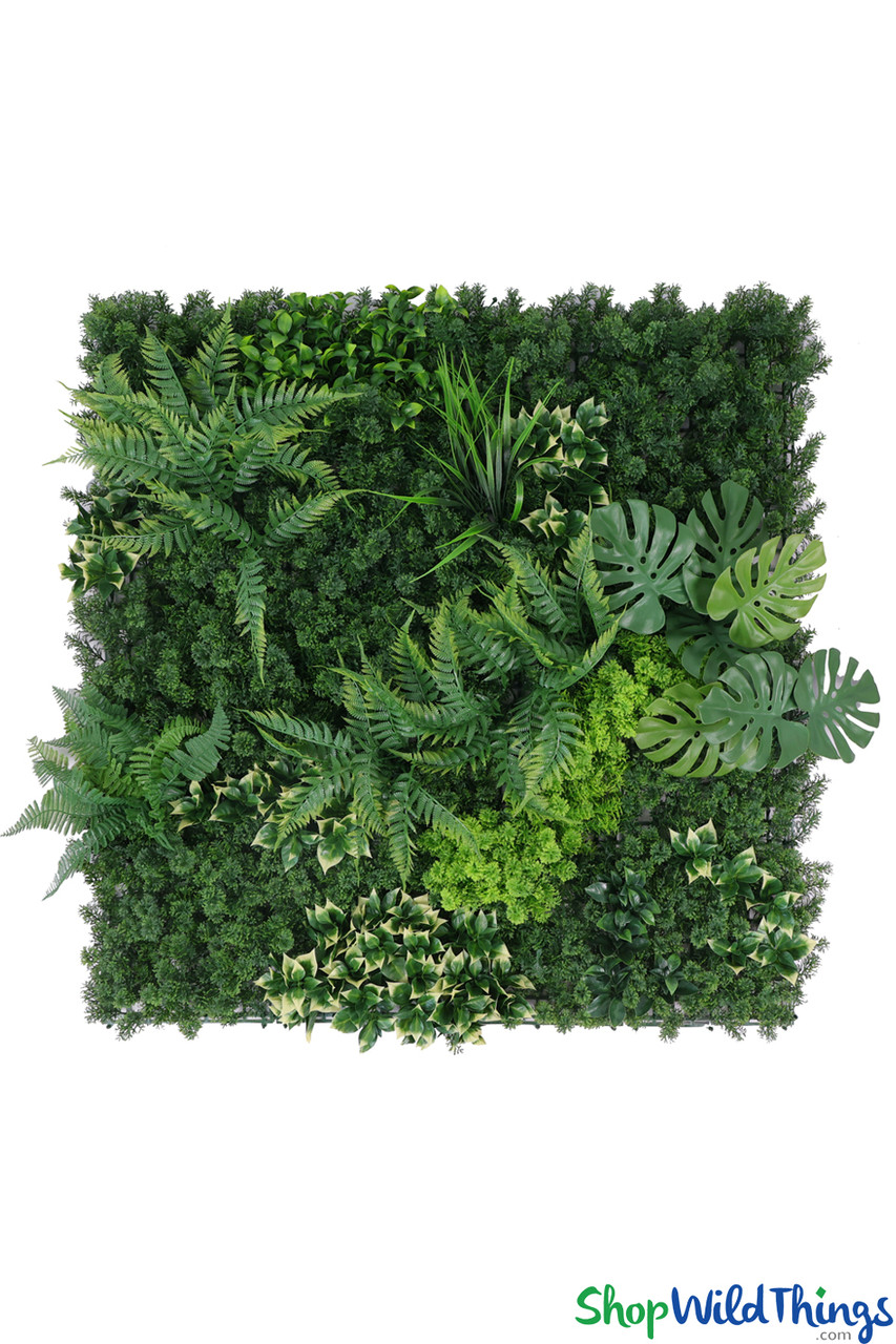 Image of Buy More, Save More! NEW Style! 