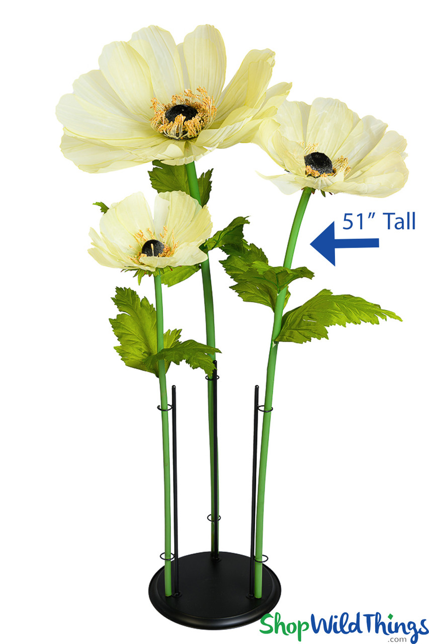 Image of Coreopsis are Back in 3 Colors!