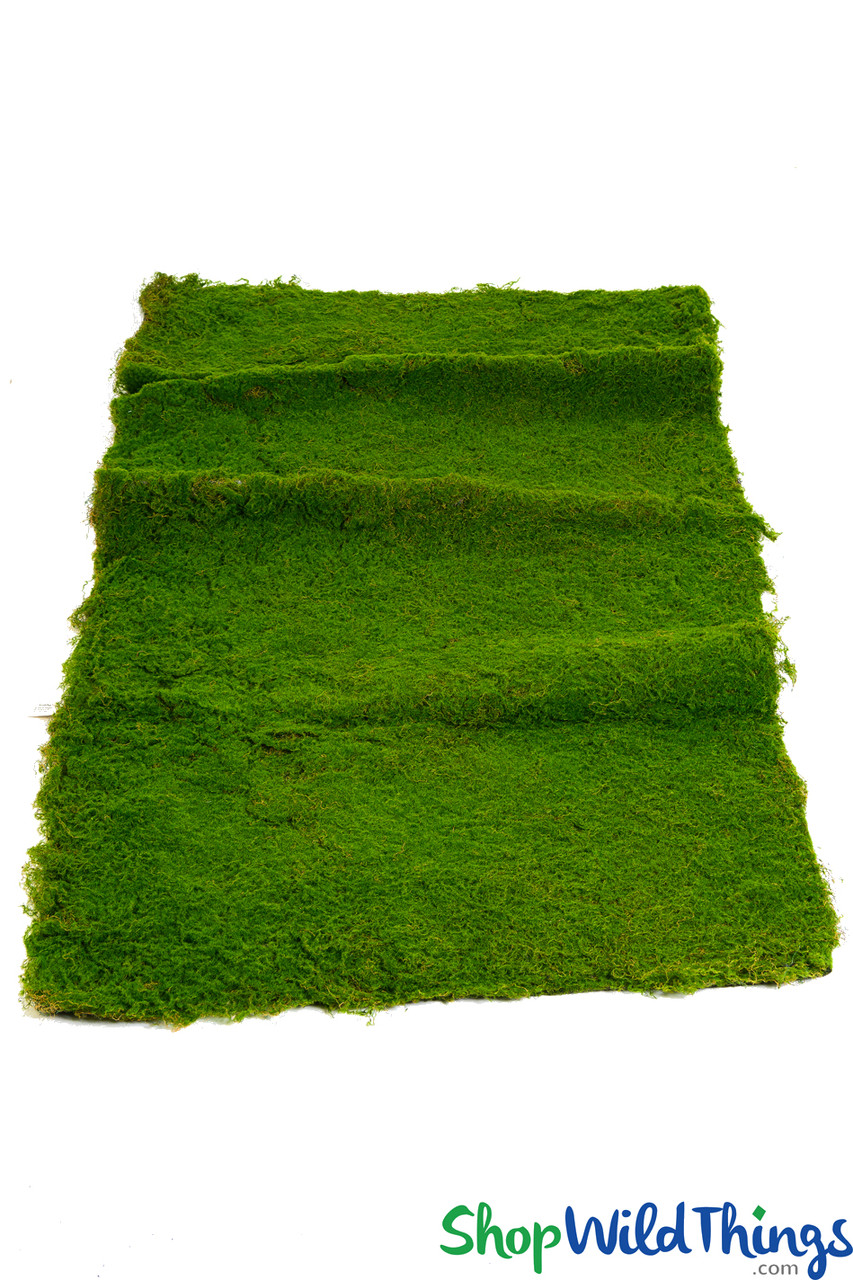Image of 40" x 80" Artificial Magic Moss Mats
