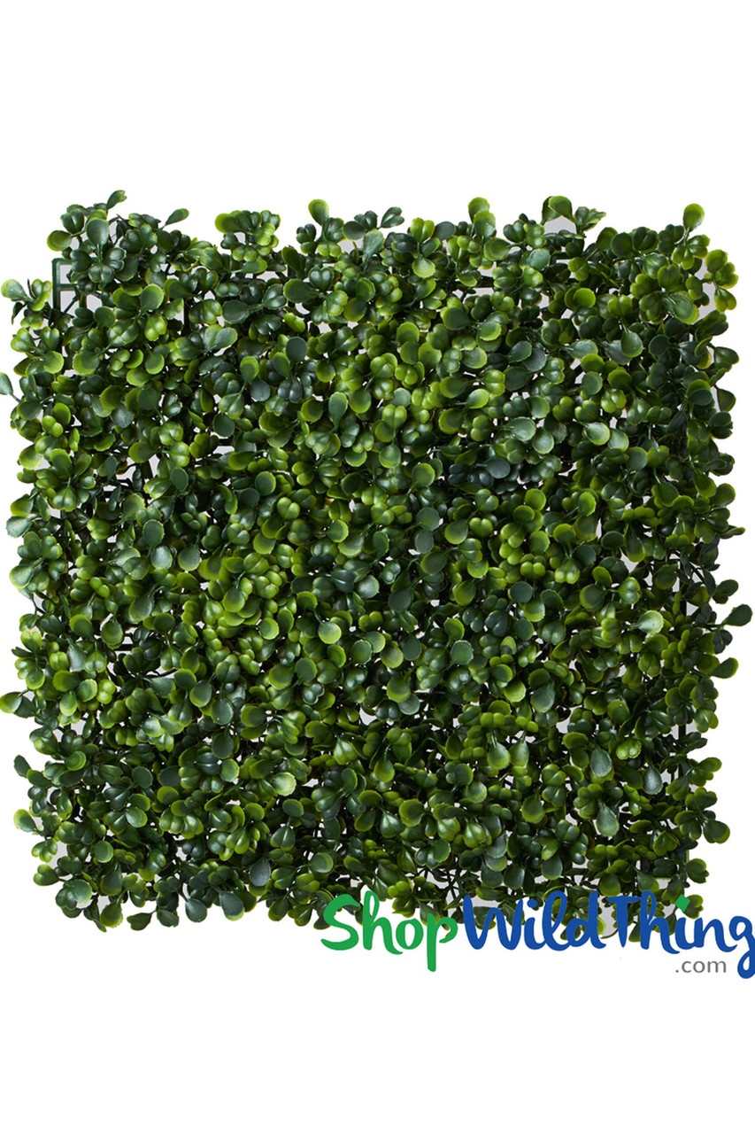 Image of Common Boxwood Wall Mat - 9.75