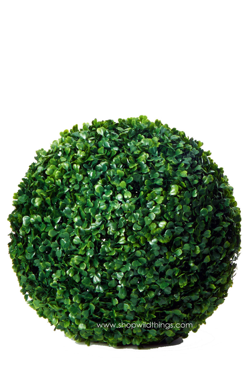 Image of Boxwood Ball - Mature Green - 14