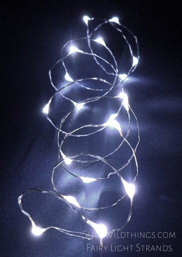 Battery-Operated 20 LED Fairy Lights - Cool White/Silver Wire