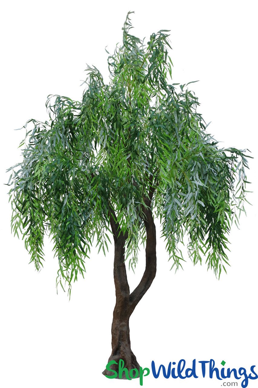 Image of  Back in Stock! 10' Tall Willow