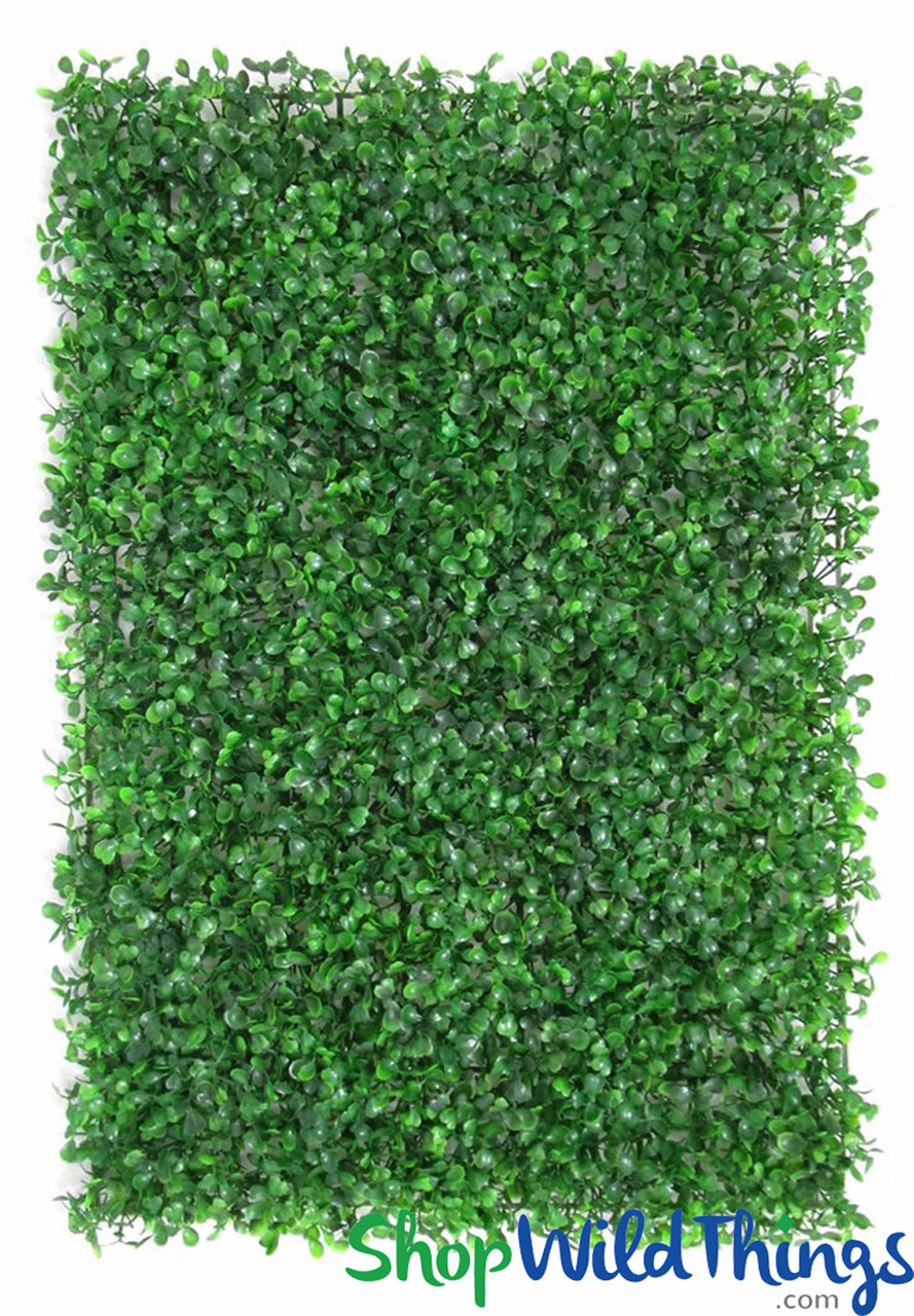 Image of Common Boxwood Wall Mat 