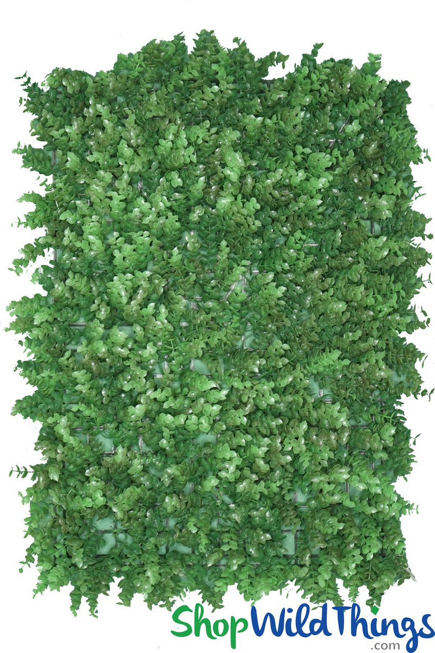 Image of Greenery Walls from 10x10