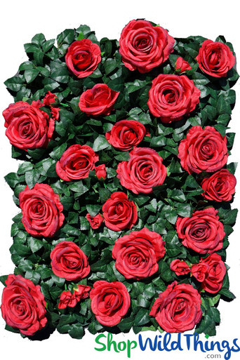 Pristine Rose Hybrid Tea Lightly Fragrant Heirloom Roses Landscapedesignwithredroses Hybrid Tea Roses Tea Roses Heirloom Roses