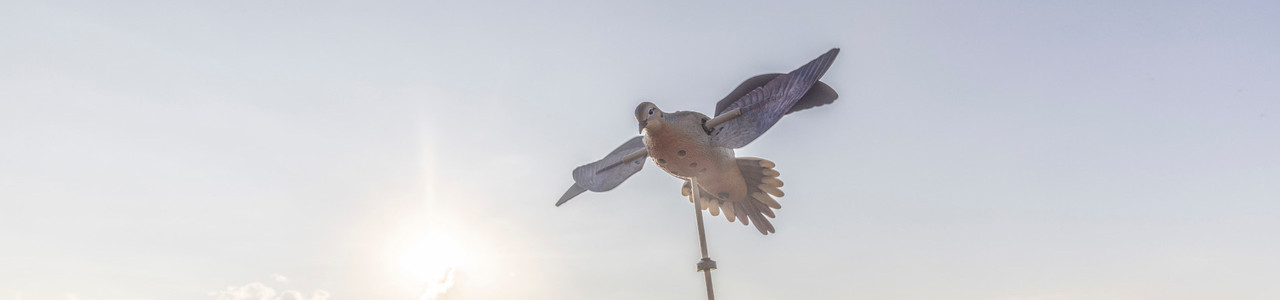 Dove Decoys