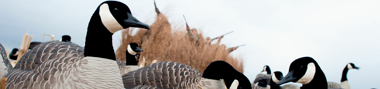 Goose Hunting