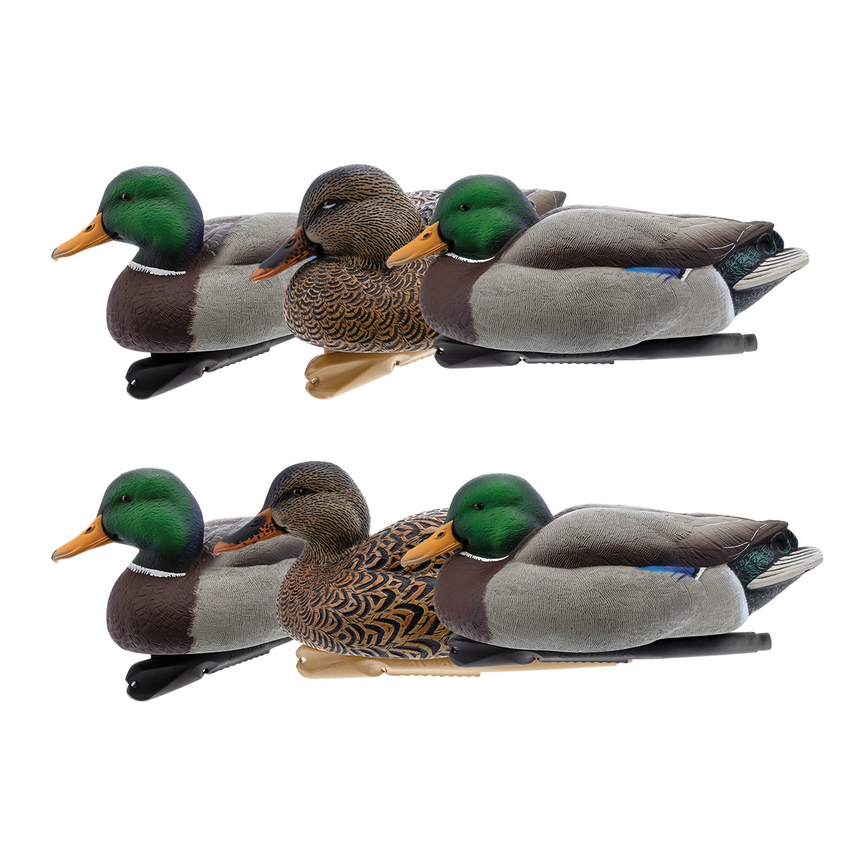 Avian-X Topflight Floating Coot Decoys