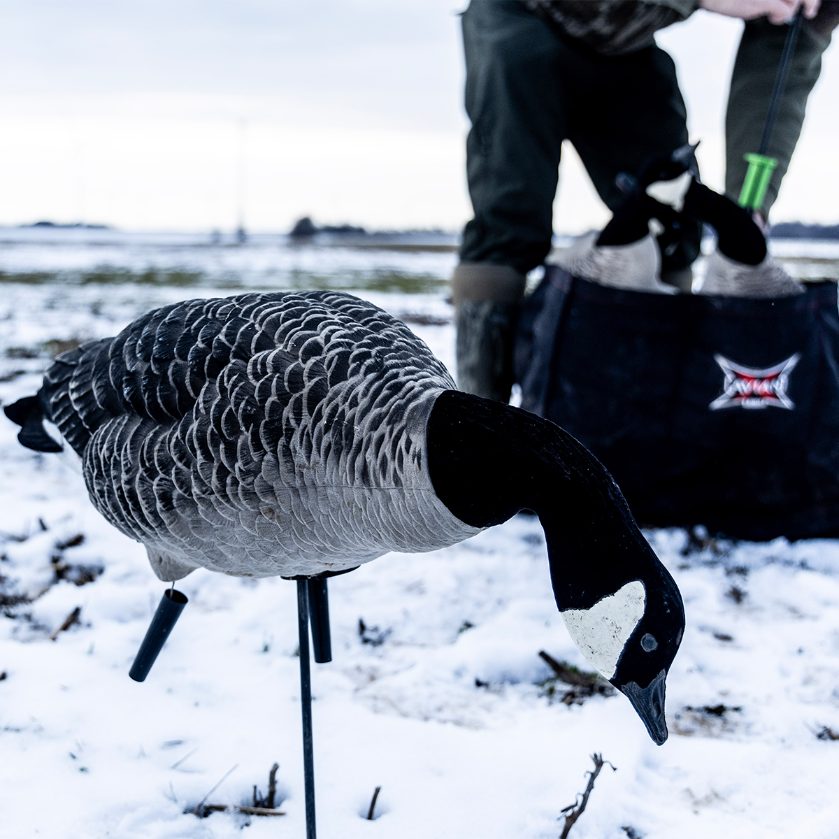 AXF Lessers: Outfitter Pack | Avian-X | Shop