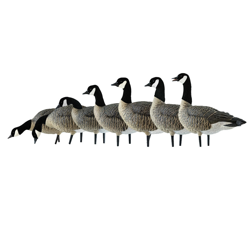 AXF Lessers: Outfitter Pack | Avian-X | Shop