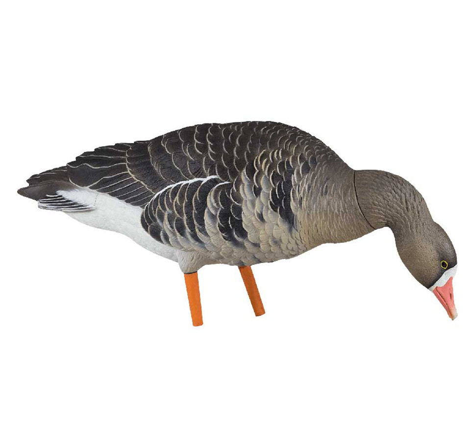 パーツ avian parus 130mm 360mm 262g AXF Specklebelly: Fusion Pack | Avian-X | Shop