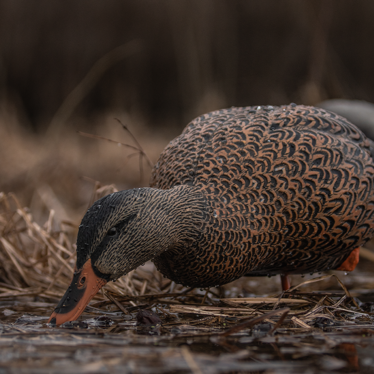 Avian-X AXP Full Body Mallards - Thumbnail 3