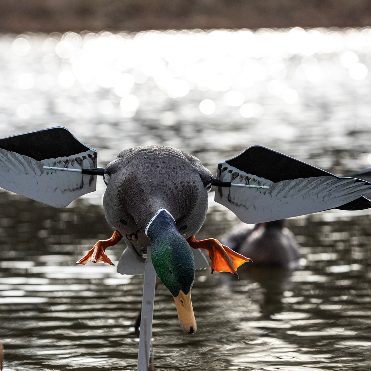 Avian-X Powerflight Mallard - Thumbnail 5
