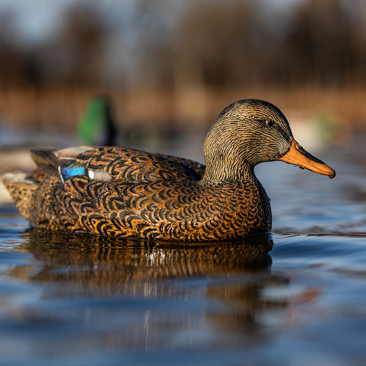 Avian-X Topflight Fusion Mallards - Thumbnail 5