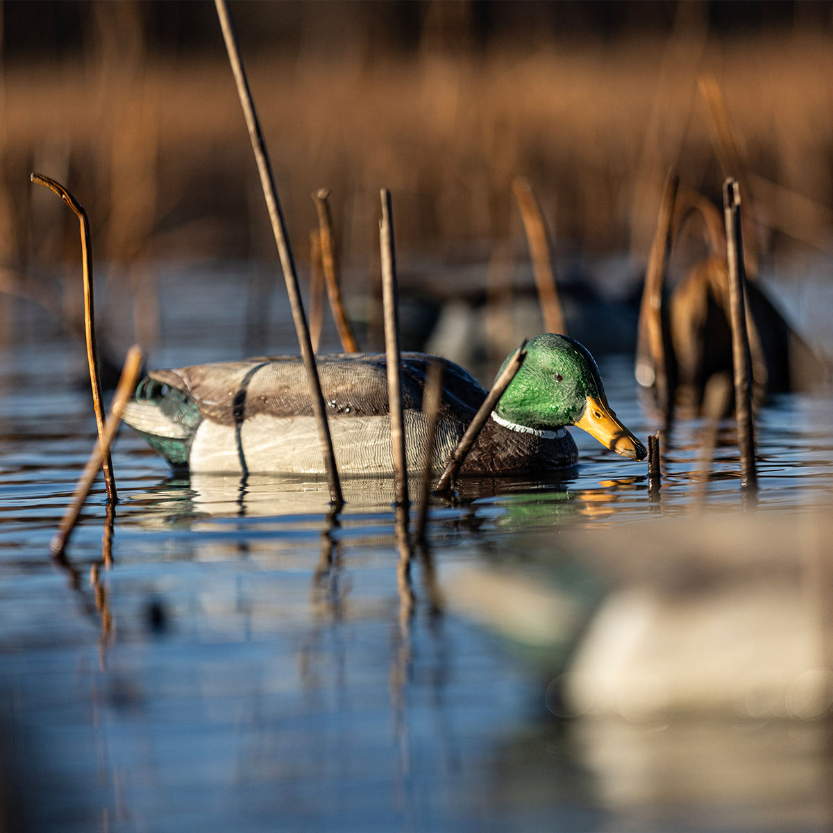 Avian-X Topflight Backwater Mallards
