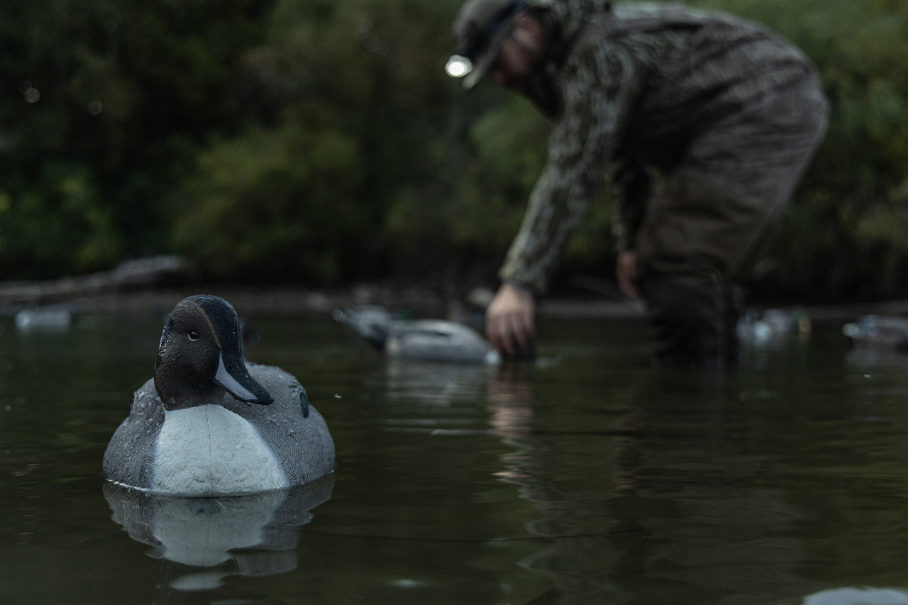 Topflight Pintails | Avian-X | Shop