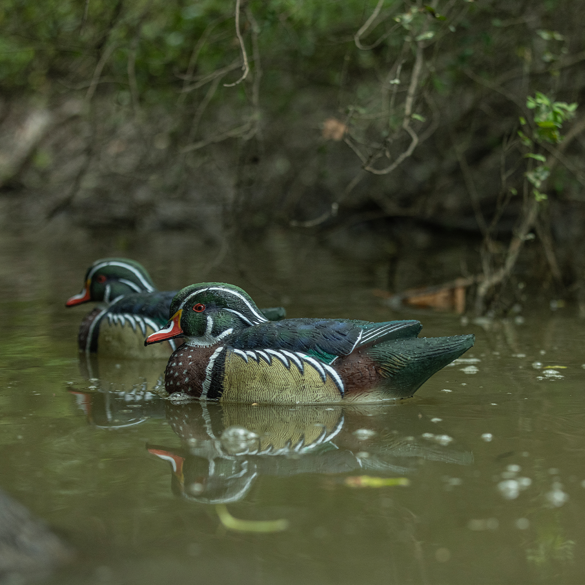Avian-X Topflight Wood Ducks