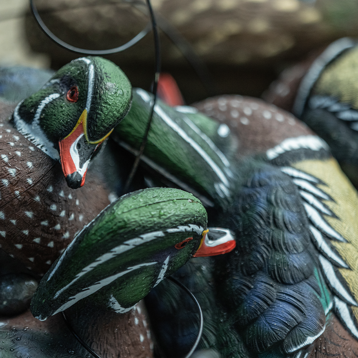 Avian-X Topflight Wood Ducks - Thumbnail 3