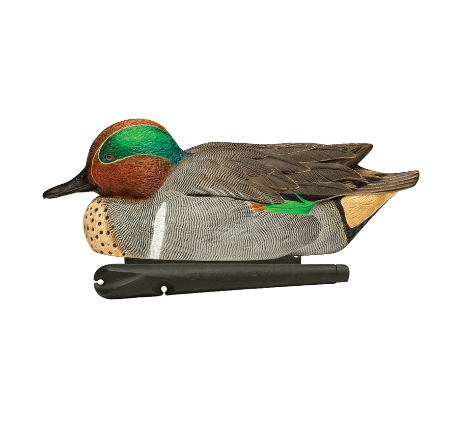 Avian-X Topflight Green-Winged Teal - Thumbnail 4