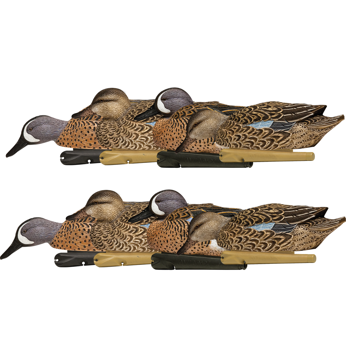 Avian-X Topflight Blue-Winged Teal - Thumbnail 2