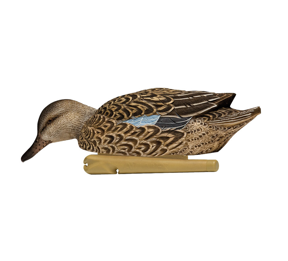 Avian-X Topflight Teal - Thumbnail 3