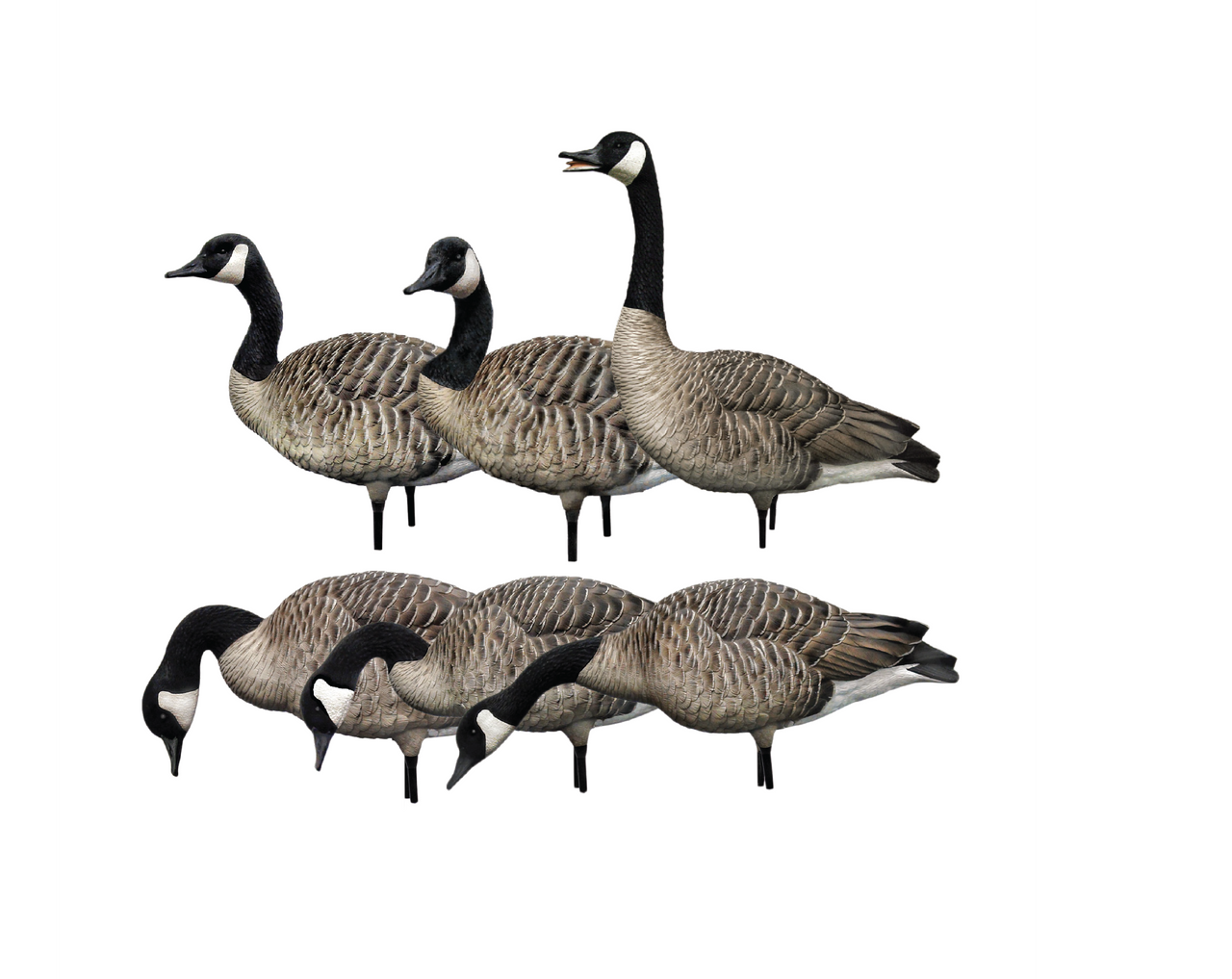 Avian-X AXP Honkers - Thumbnail 3