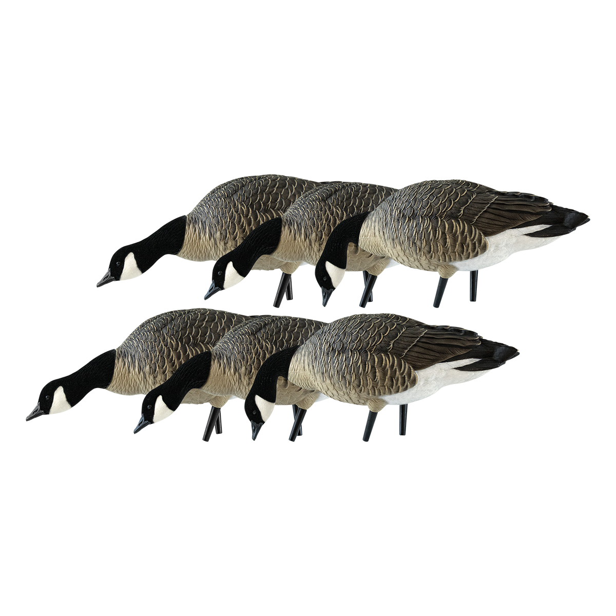 Avian-X AXP Lessers Feeder