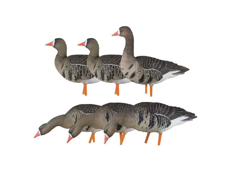 AXP Specklebelly: Fusion Pack | Avian-X | Shop