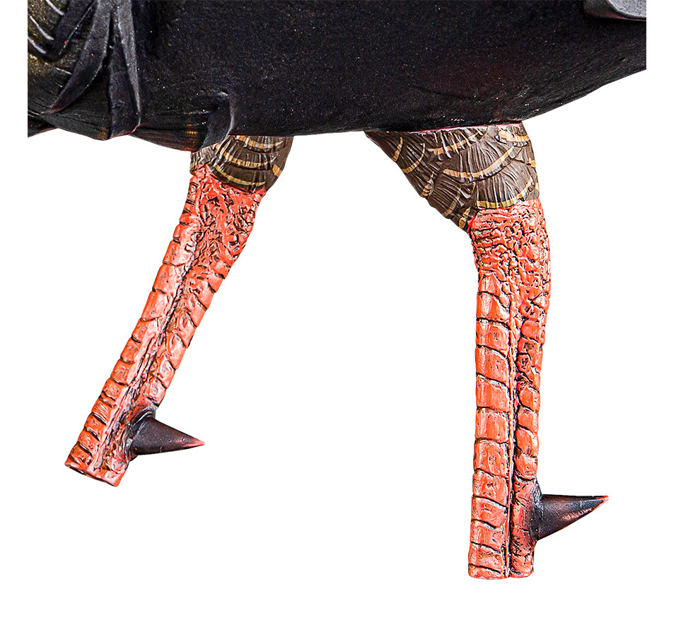 Avian-X | Heavy-Duty Realism Decoys | HDR Strutter