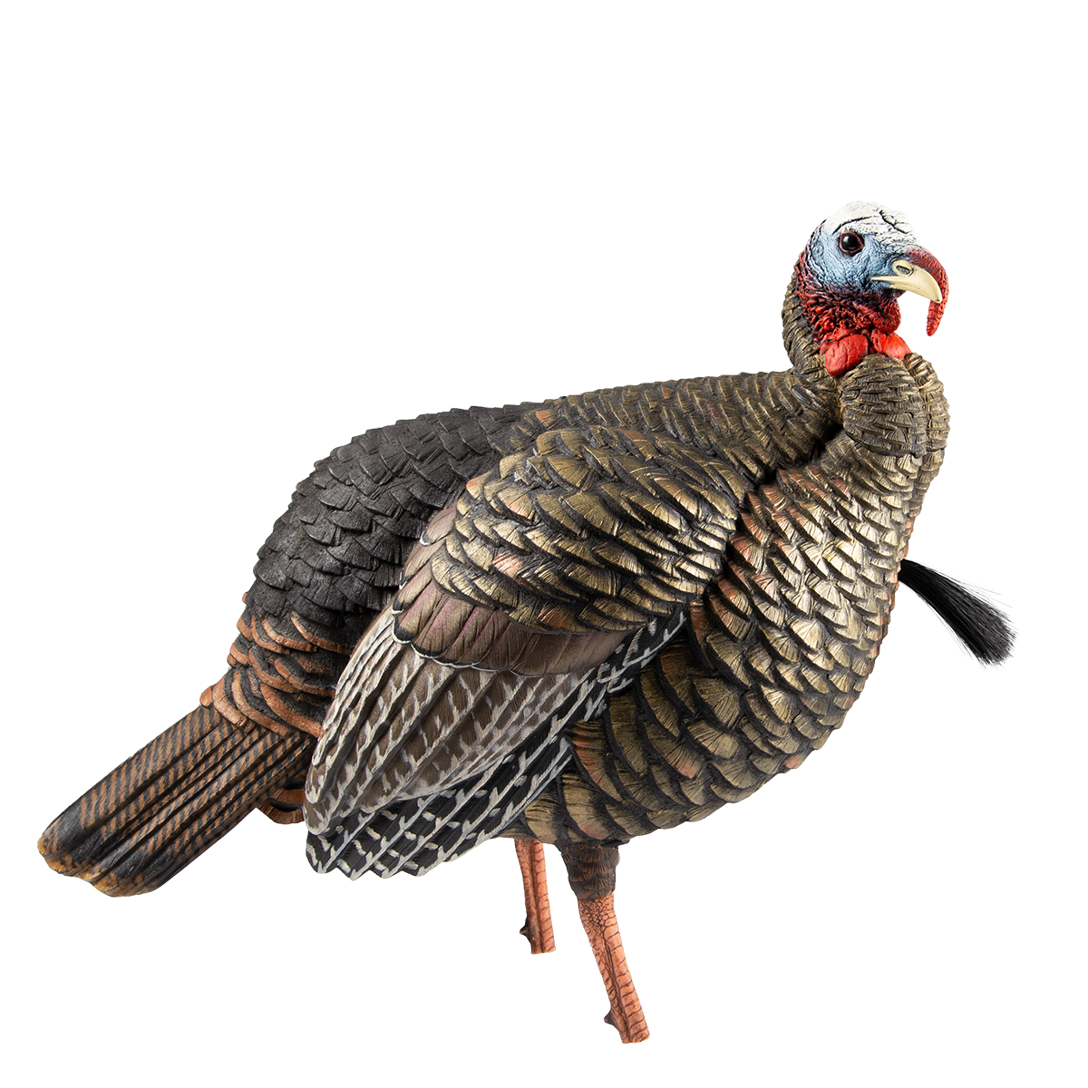 HDR Jake | Avian-X | Shop