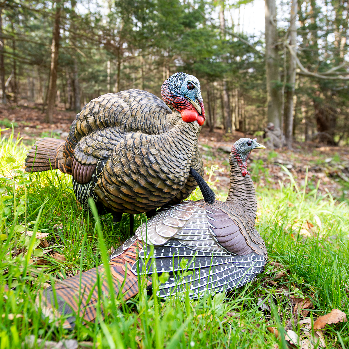 LCD Half-Strut Jake | Avian-X | Shop