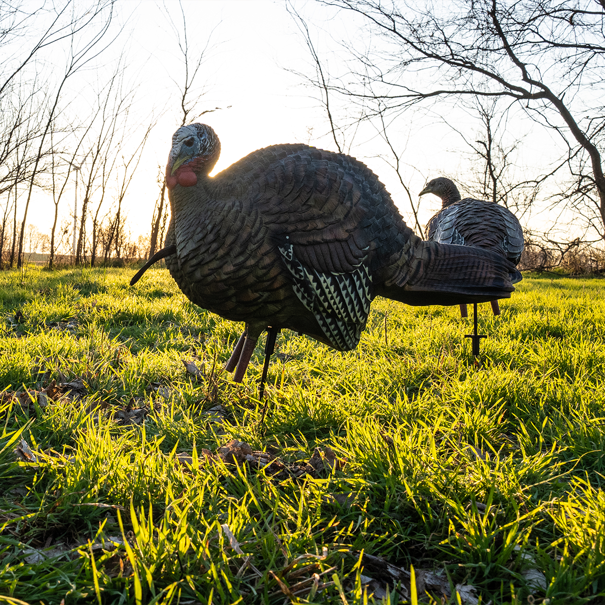 Avian-X LCD Feeder Hen - Thumbnail 5
