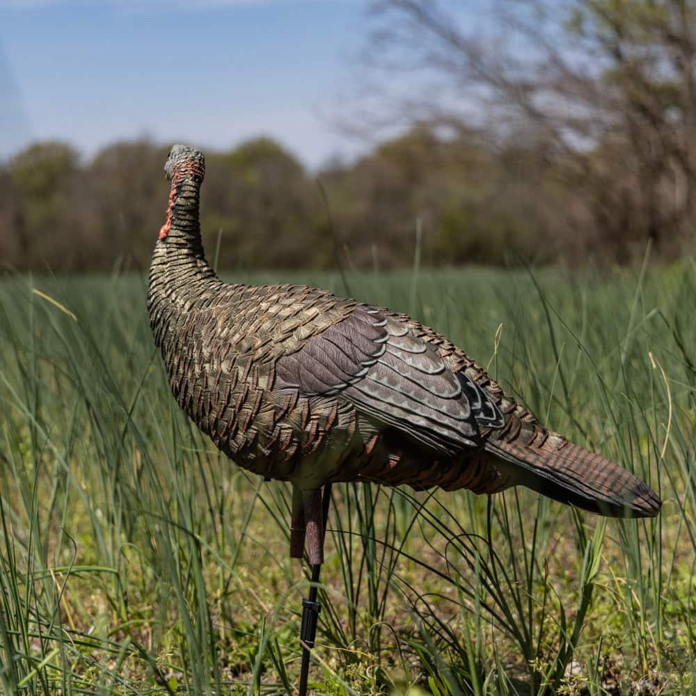 LCD Lookout Hen | Avian-X | Shop