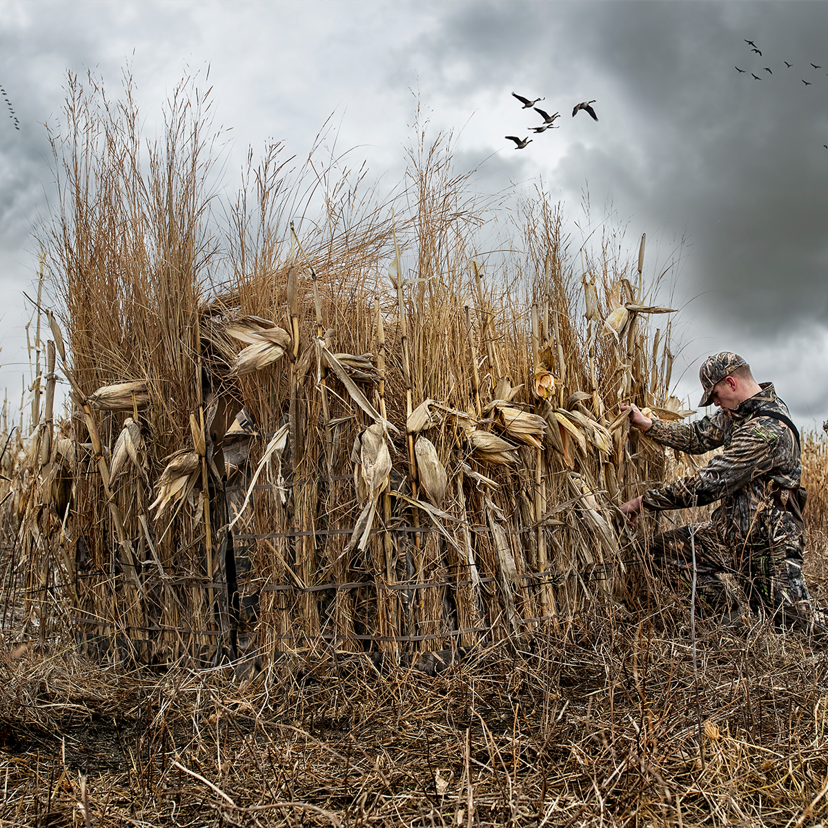 7__37264.1772048027.png?c=1