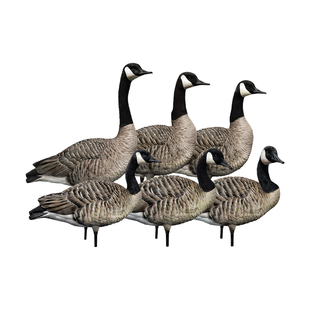 Avian-X AXP Honker Sentry-Walker