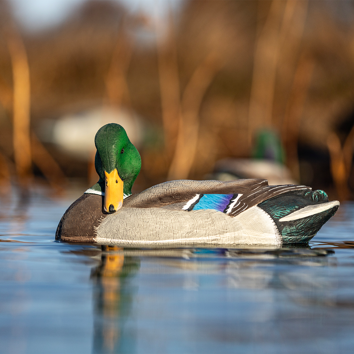 Avian-X Power Shaker Mallard Drake Surface Feeder - Thumbnail 2