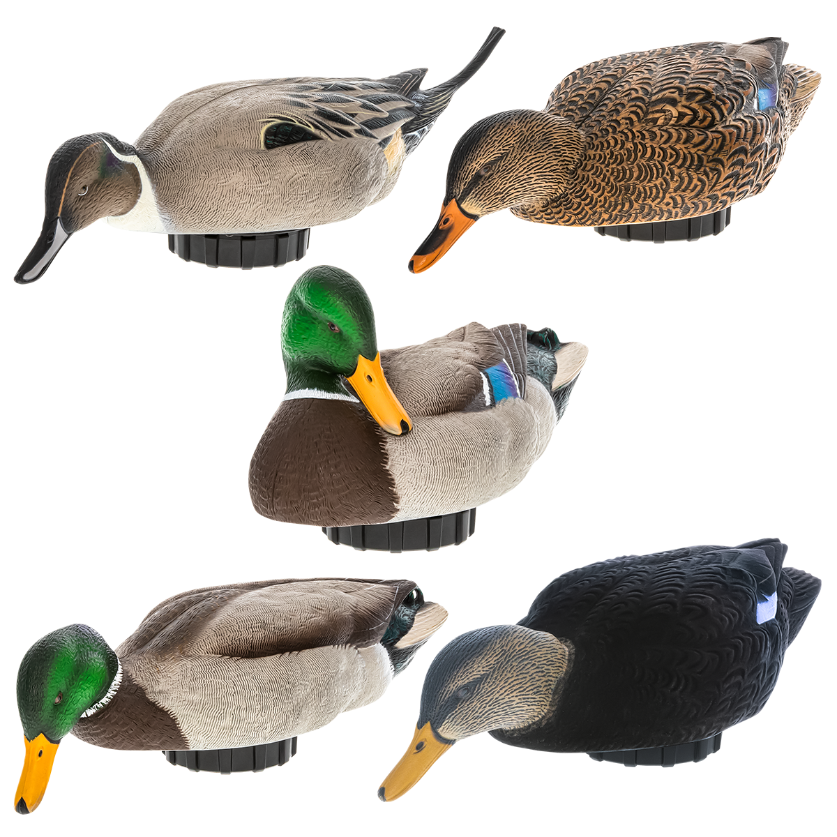 Avian-X Power Shaker Mallard Drake Surface Feeder