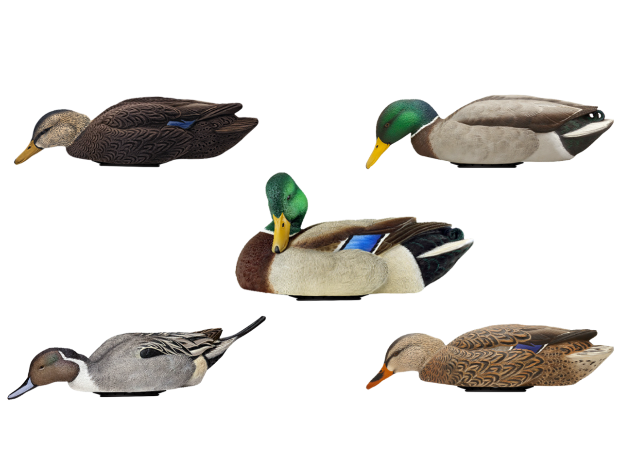 5 Problems with Your Duck Decoy Spread, and How to Fix Them