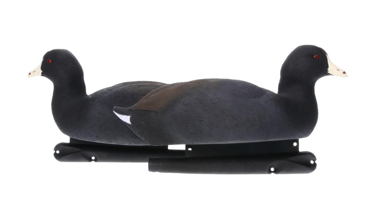 Avian-X Topflight Coot