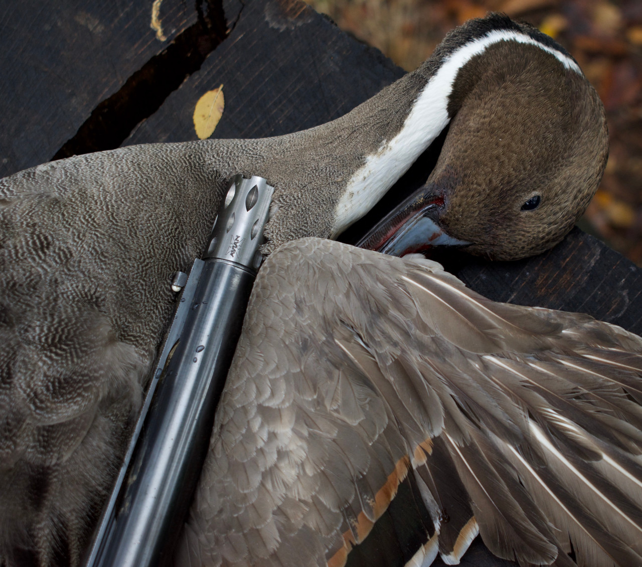 Waterfowl Crusher Choke