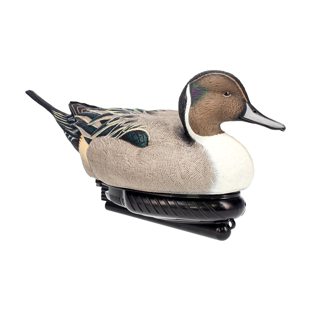 Avian-X Power Swimmer
