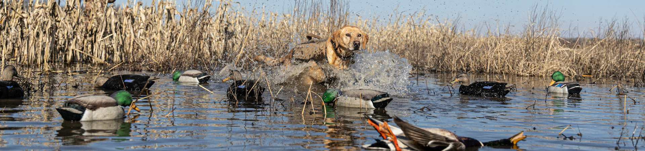 Duck Calls