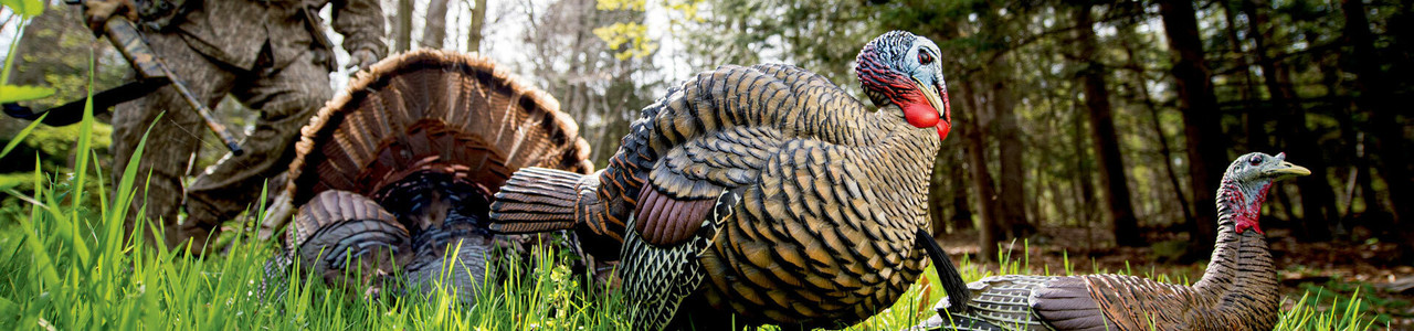 Turkey Hunting