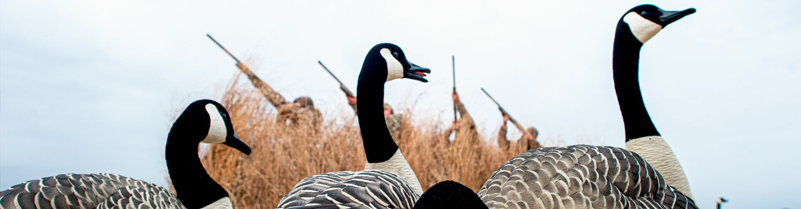 Flocked Full Body Specklebelly & Canada Goose Decoys | Avian-X