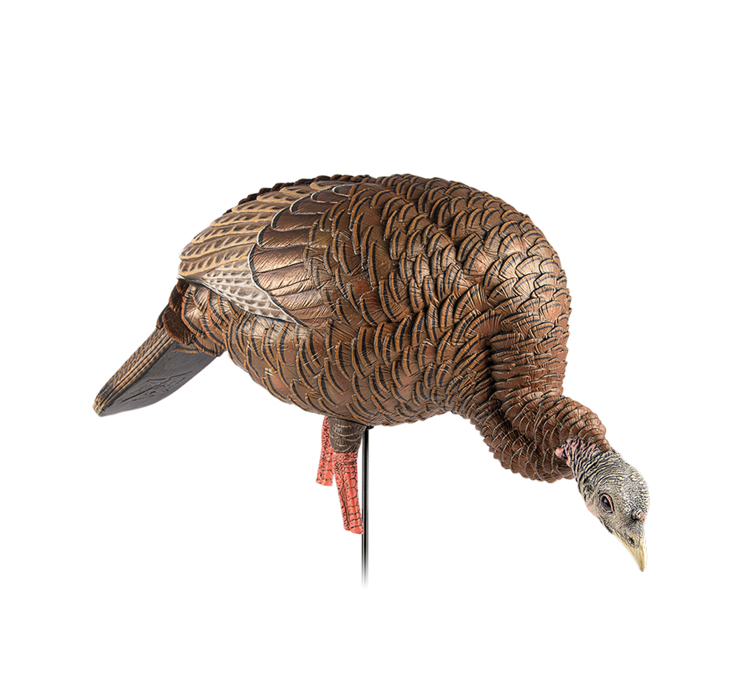 Turkey Decoys | Ultra-realistic & Collapsible | Avian-X